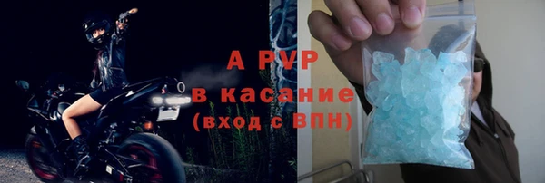 стафф Губаха