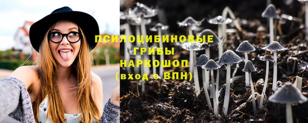 гидропоника Покачи