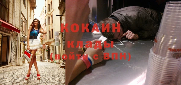 сатива Гатчина